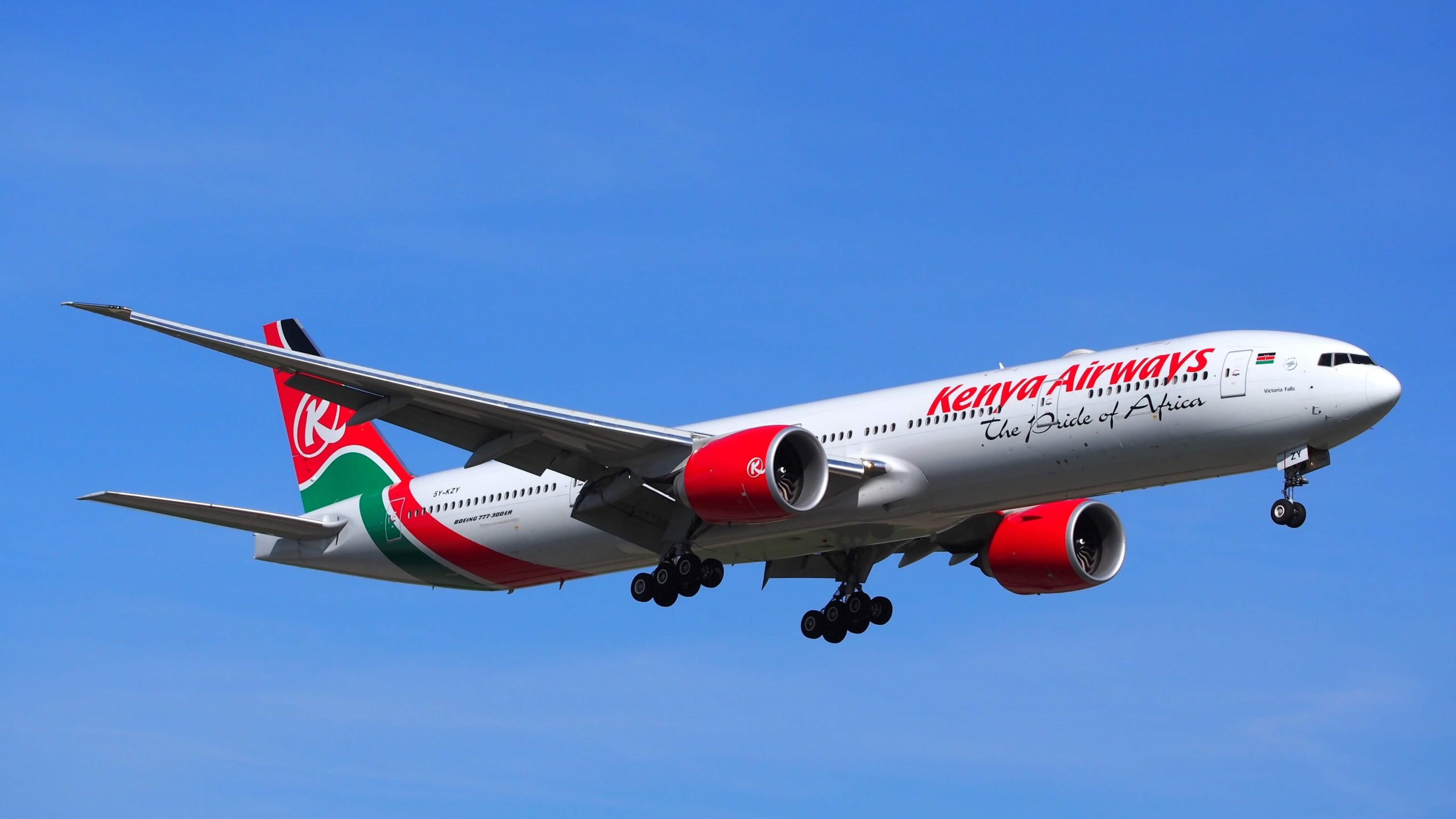 Kenya Airways flight returns to Entebbe after bird strike