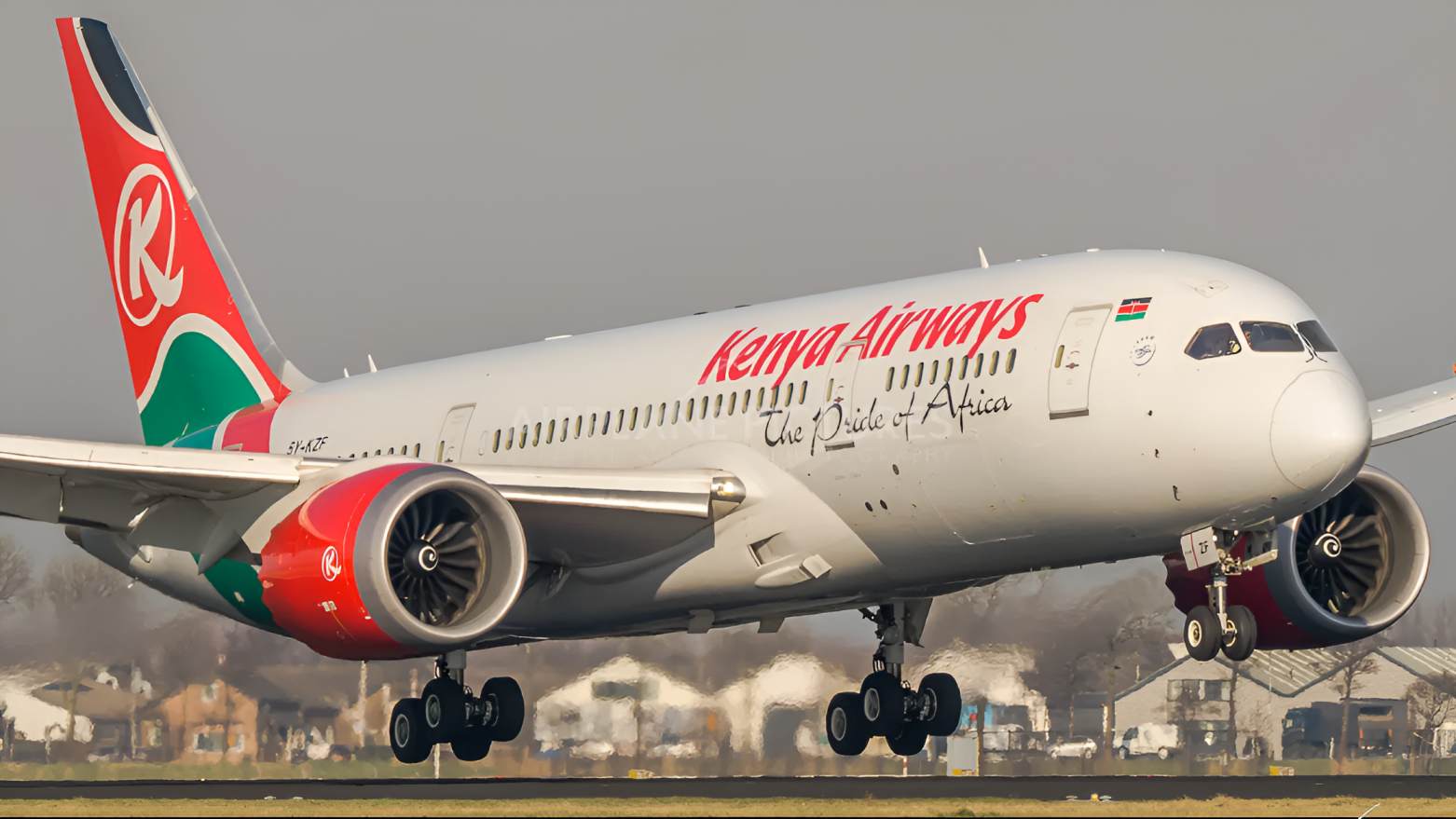 Kenya Airways flight in Cape Town grounded after bird strike