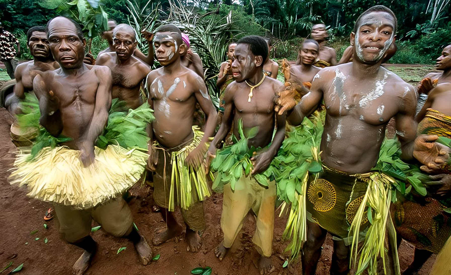 In the heart of Cameroon's Baka land