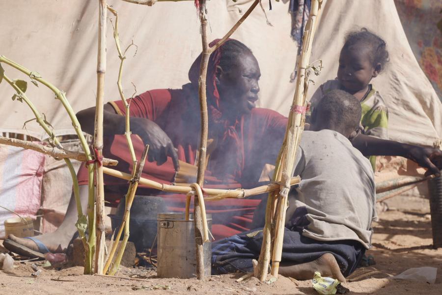 95 dead from hunger in Western Sudan's refugee camp during past 40 days