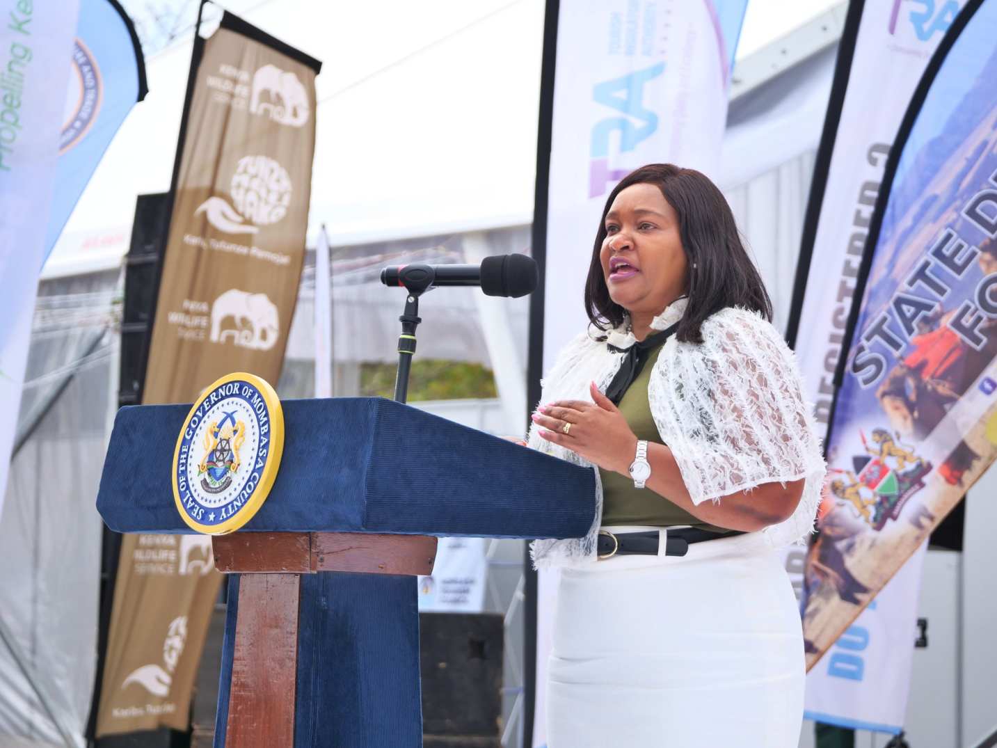 World Tourism Day draws 83,932 visitors to Kenya’s parks- KWS