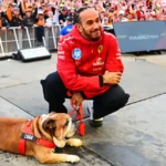 Hamilton mourns death of his bulldog Roscoe