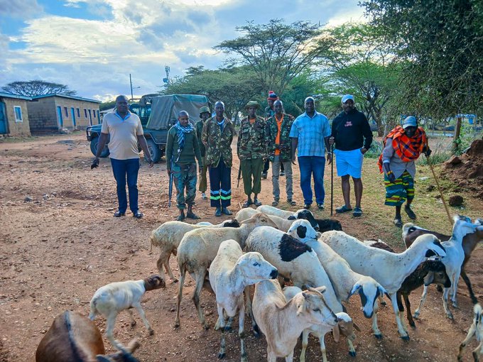 Police recover stolen goats in Marsabit
