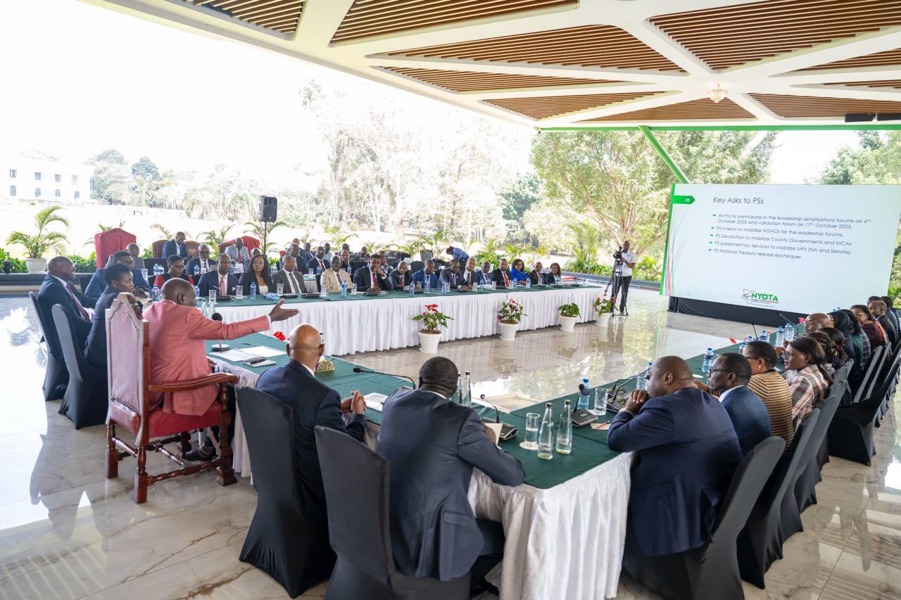 Explainer: What to know about NYOTA Entrepreneurship Aptitude Test