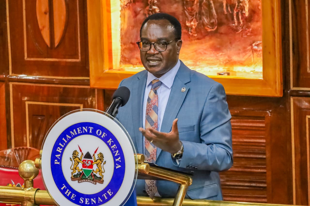 Education ministry to shut fake schools in ghost students purge