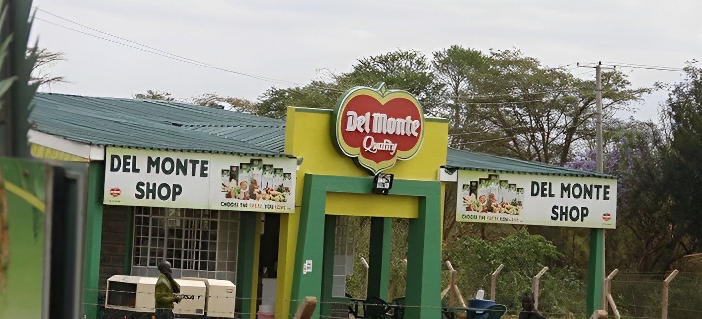 KHRC demands tougher action on multinationals after Sh1.76bn tax case