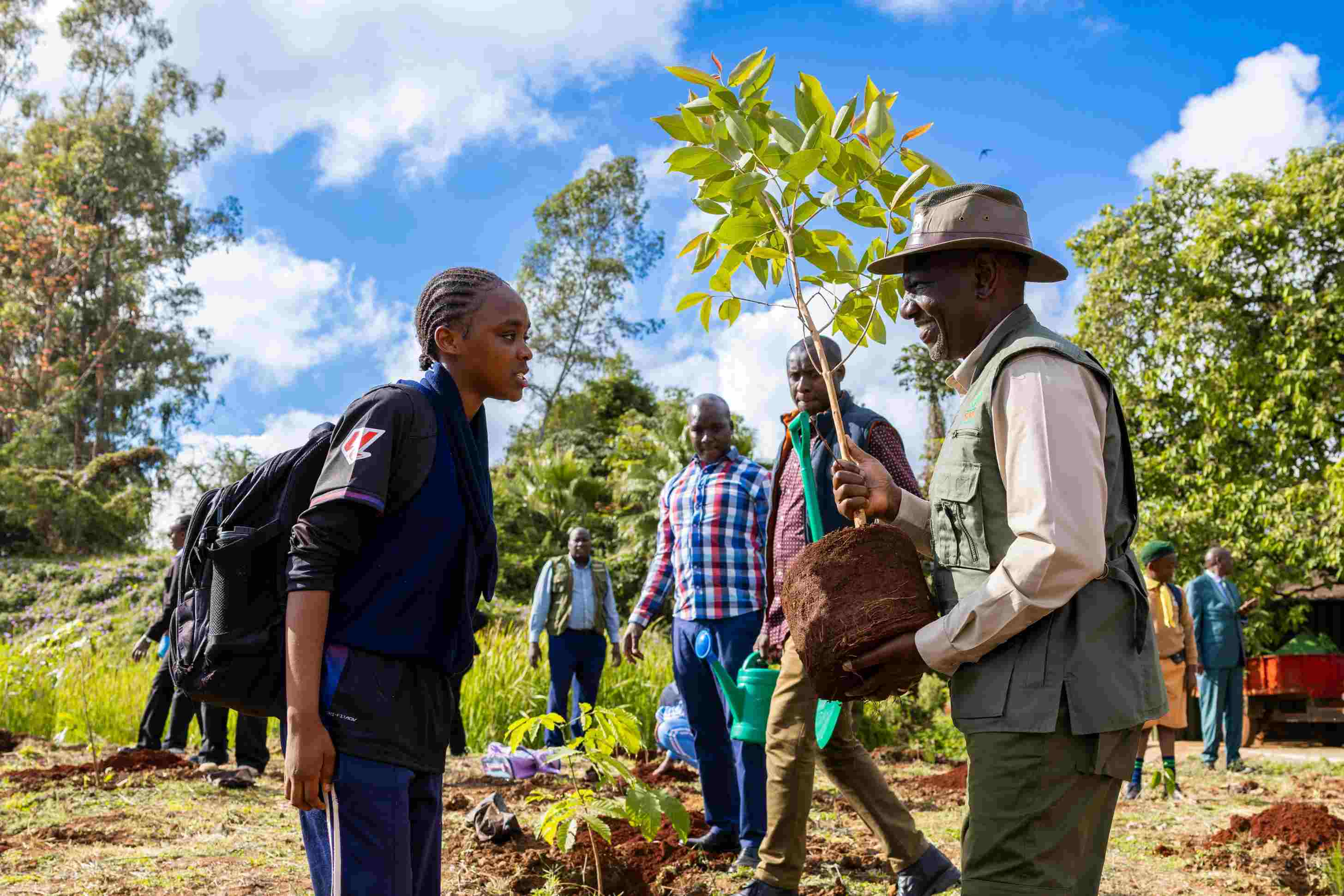 Mazingira Day: Ruto calls for nationwide tree planting drive to restore forest cover