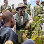 PHOTOS: From State House to the earth: Ruto's tree planting push on Mazingira Day