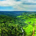 Environment Ministry postpones Mau Forest conservation programme launch to October 27