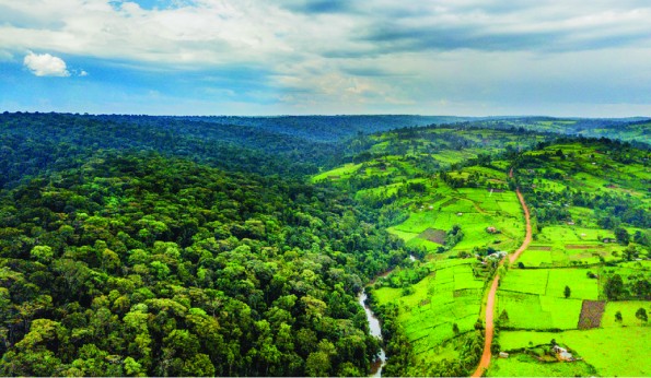 Environment Ministry postpones Mau Forest conservation programme launch to October 27