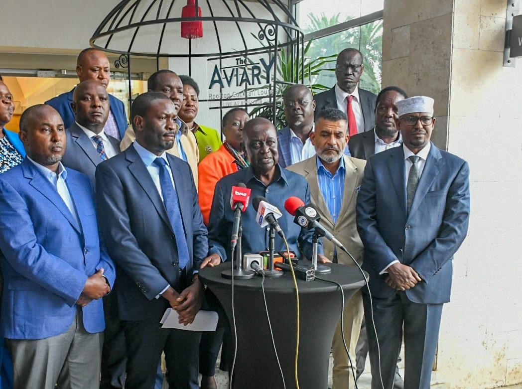 ODM top brass endorses Oburu Oginga as new party leader