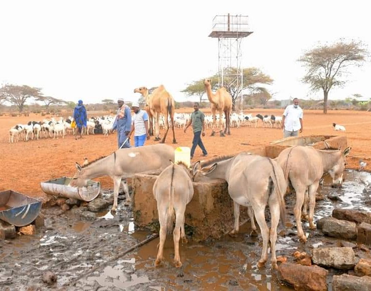 Mandera steps up aid as drought crisis deepens