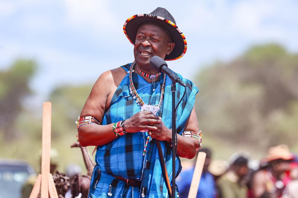 Unregulated commercial interests remain the biggest threat to conservancy – Mudavadi