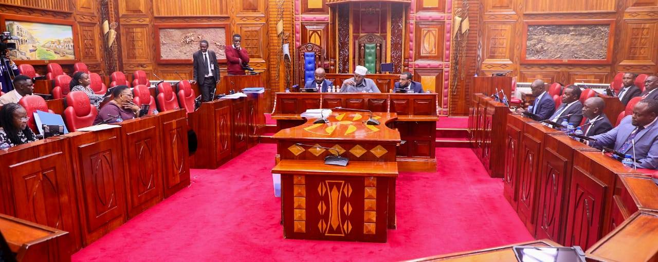 Senate committee presses KNCHR, NCIC over hate speech, integrity concerns