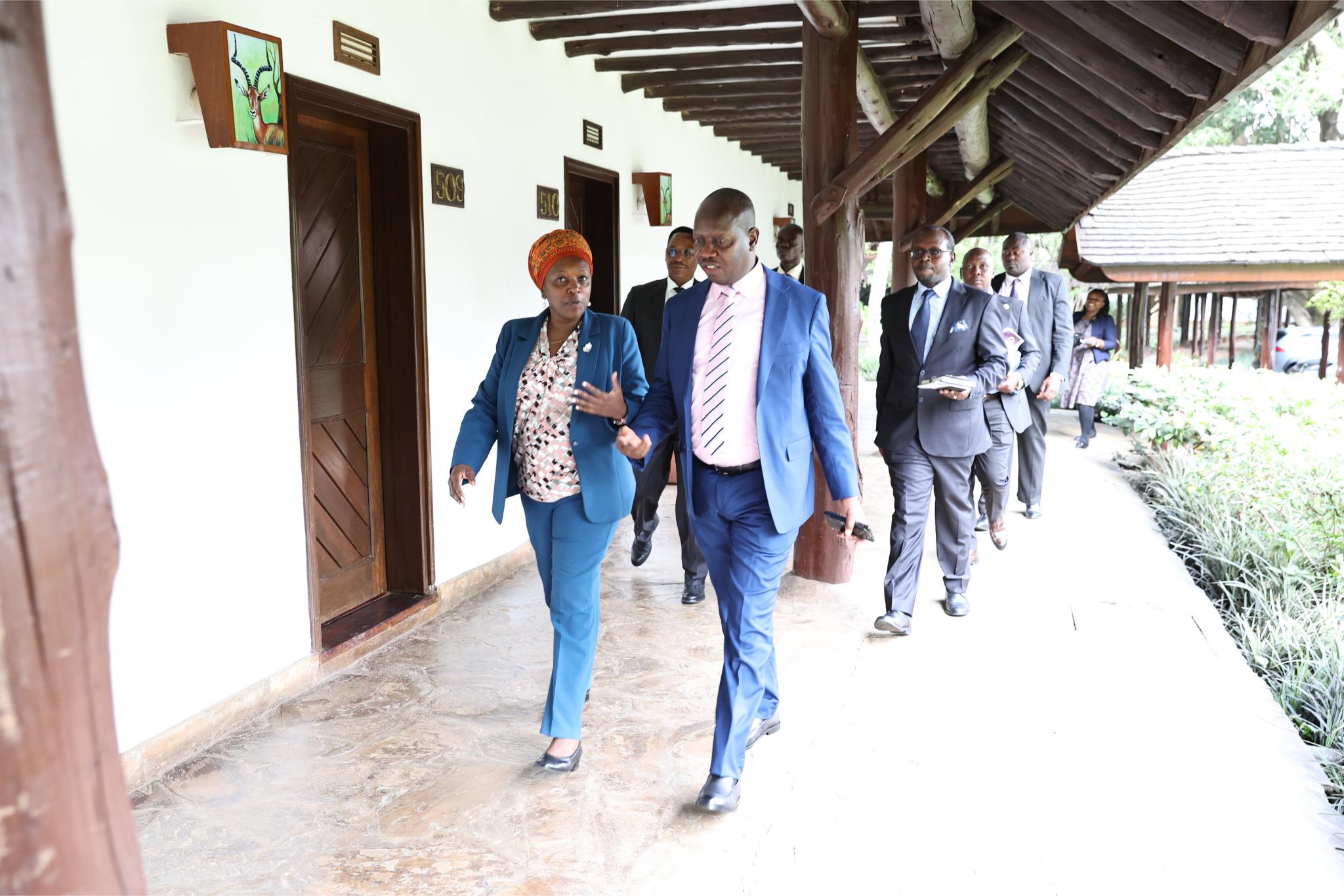 DPP calls for stronger continental collaboration on witness protection