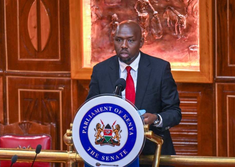 Government reports 845 mob justice cases, 579 deaths since January