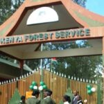 Audit exposes opaque forest deals as billions go unaccounted for at KFS