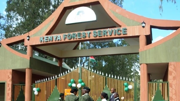 KFS rejects land grabbing claims in Menengai Forest