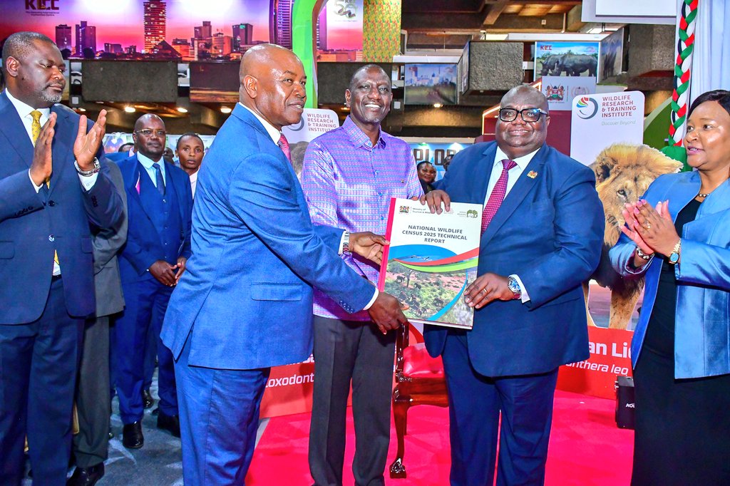 Wildlife census shows elephant recovery but alarming drop in rare species