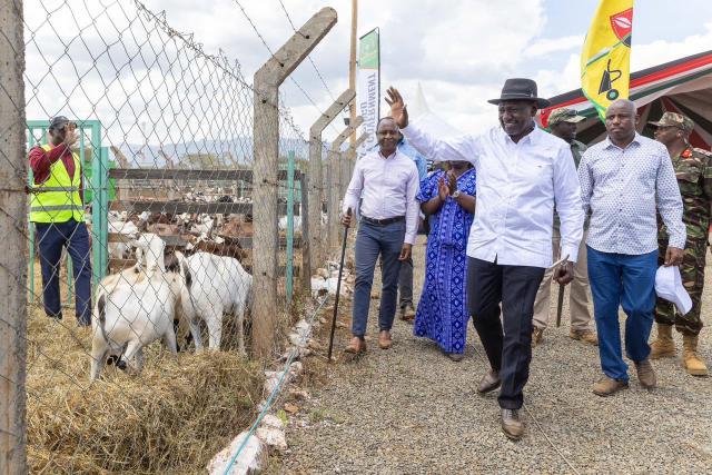 Ruto drives Sh82 million goat auction record in Baringo