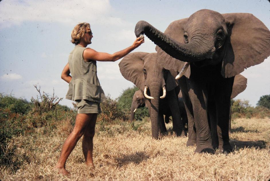 Dr. Iain Douglas-Hamilton, the world-renowned zoologist and founder of Save the Elephants/HANDOUT
