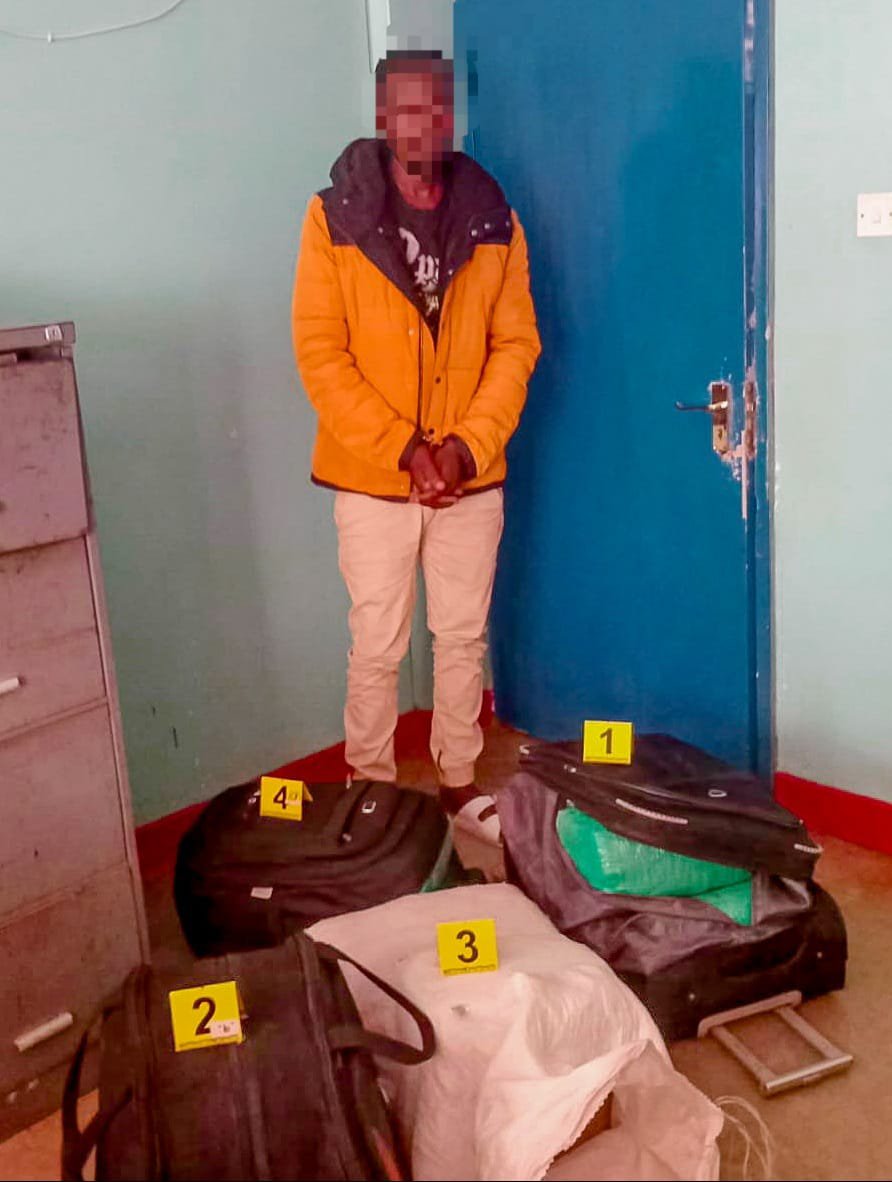 Police seize 48kg cannabis worth Sh1.4 million in Kakamega