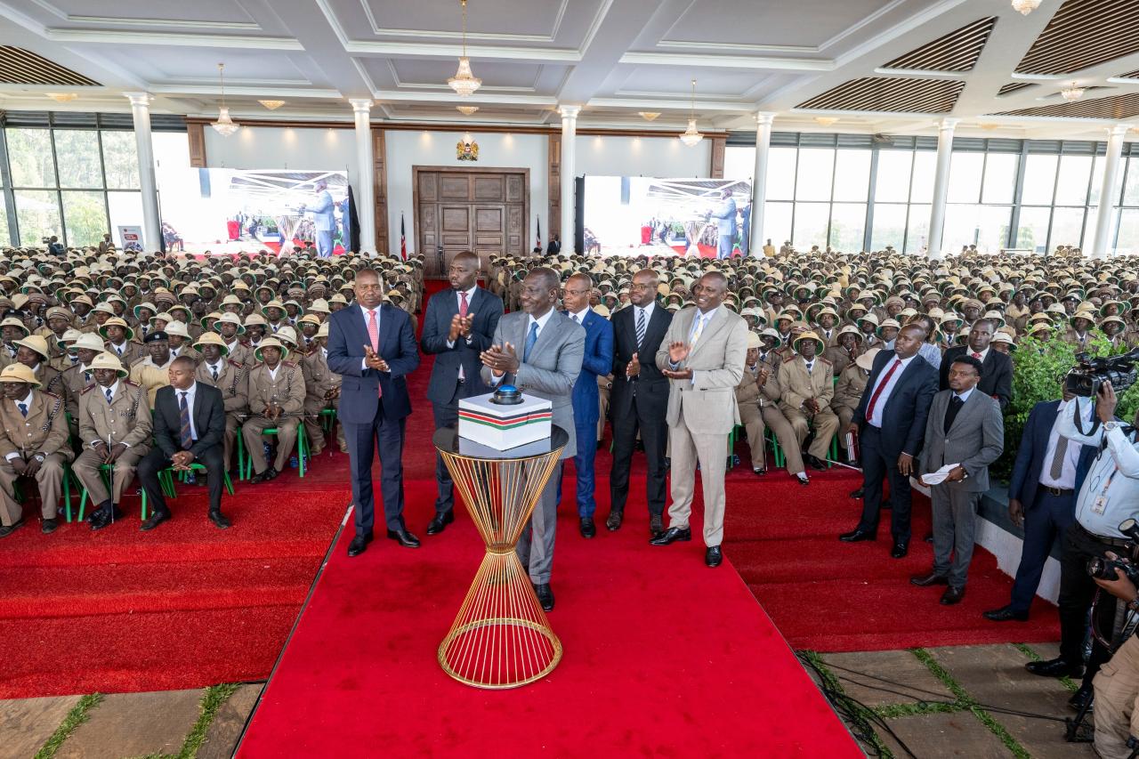 Why I scrapped subsidies to shield the economy - Ruto