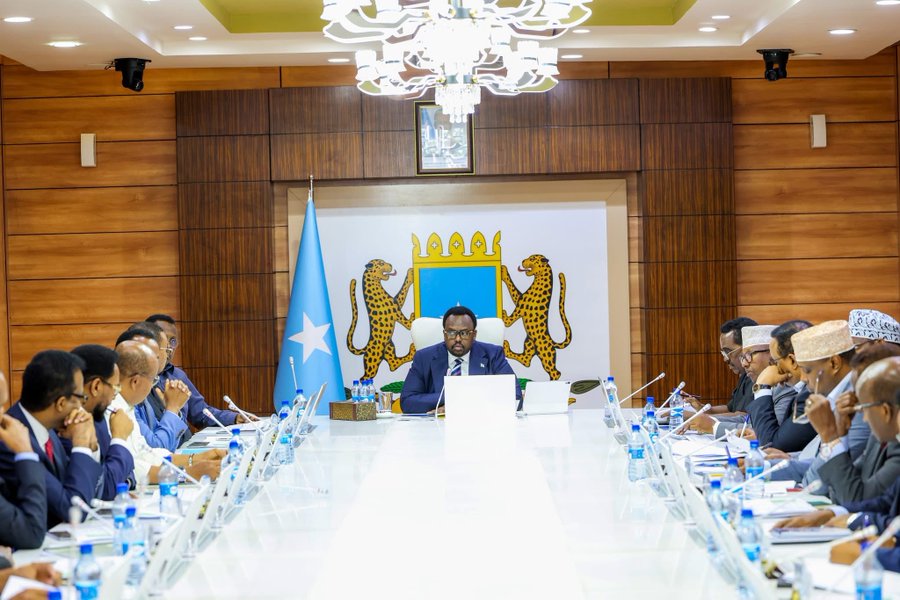 Somalia’s Cabinet revokes all agreements with UAE