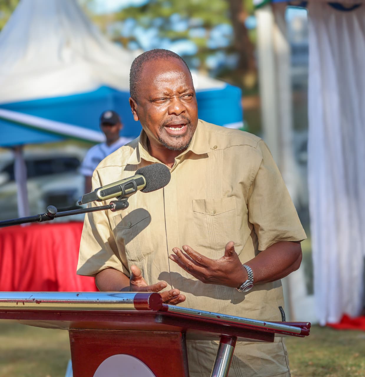 Kenya to set up animal feed reserves to curb drought losses