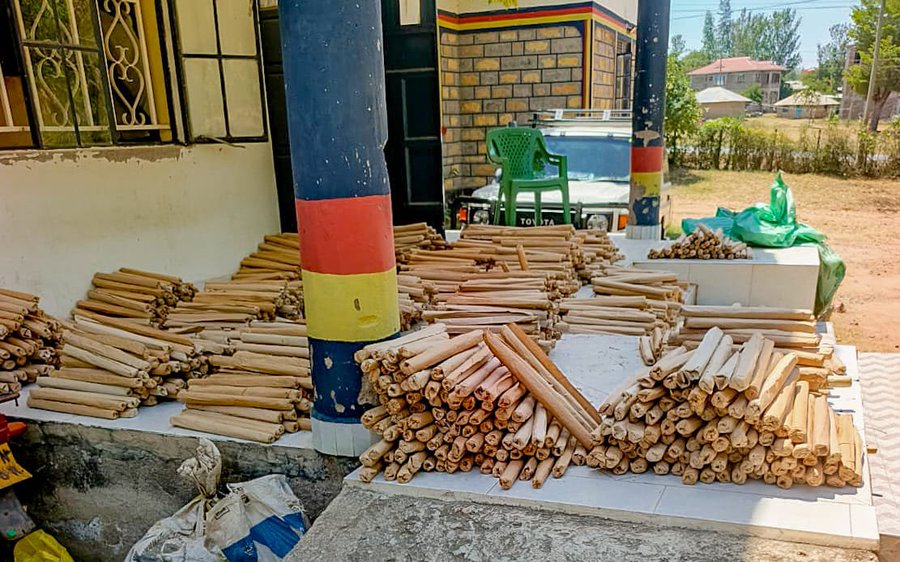 2,353 rolls of bhang seized as anti-narcotics crackdown intensifies in Homa Bay