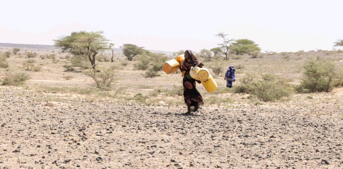Mandera families face starvation after losing herds to drought