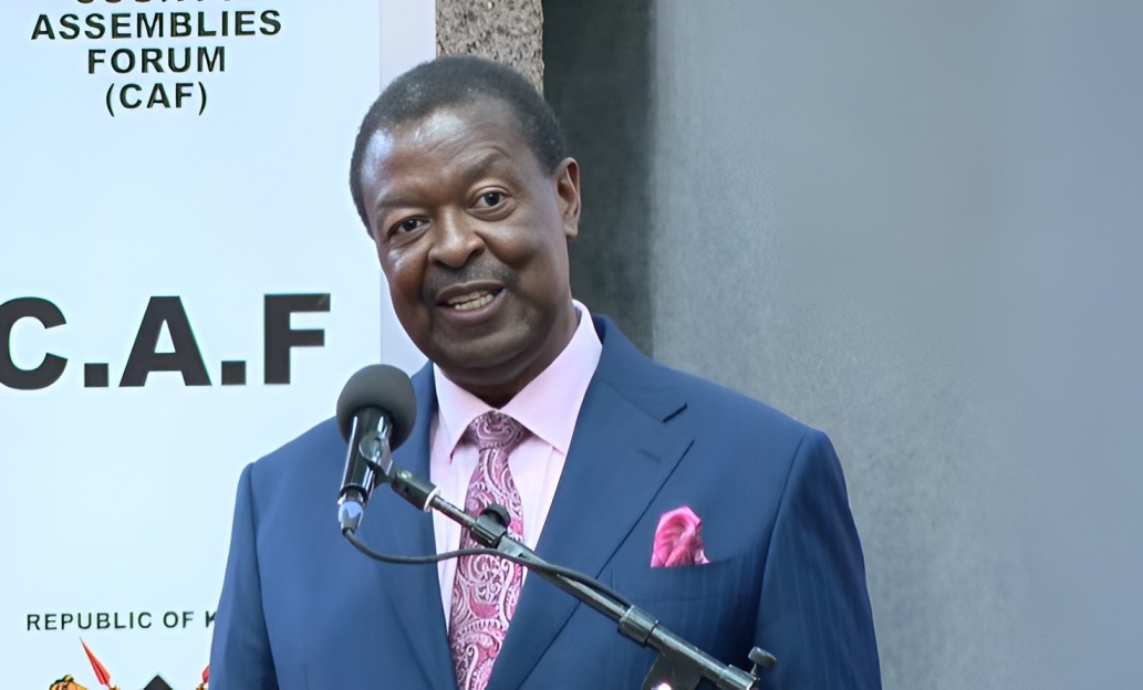 Guard your constitutional role, Mudavadi tells MCAs