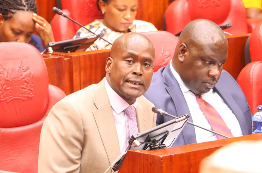 State House Comptroller Katoo Metito when appearing before the Gabriel Tongoyo led-committee on Administration and Internal Security, during the 2026/27 budget policy statement in Parliament on 24th February, 2026. Photo/ David Bogonko Nyokang’i