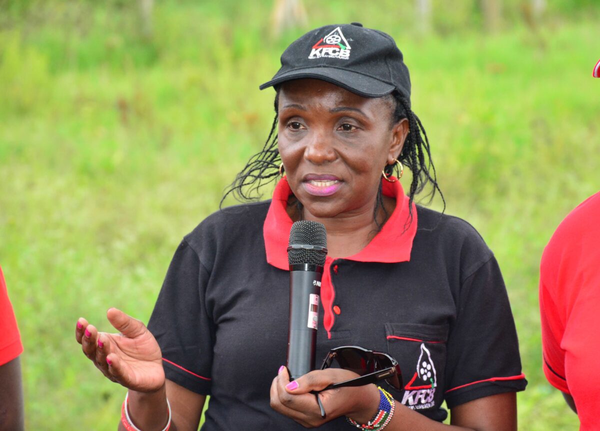 KFCB gives filmmakers three-month window to regularize unlicensed films