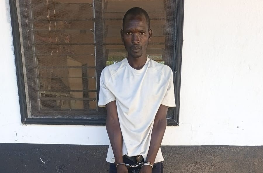 Suspected trafficker arrested in Kwale operation, elephant tusks recovered