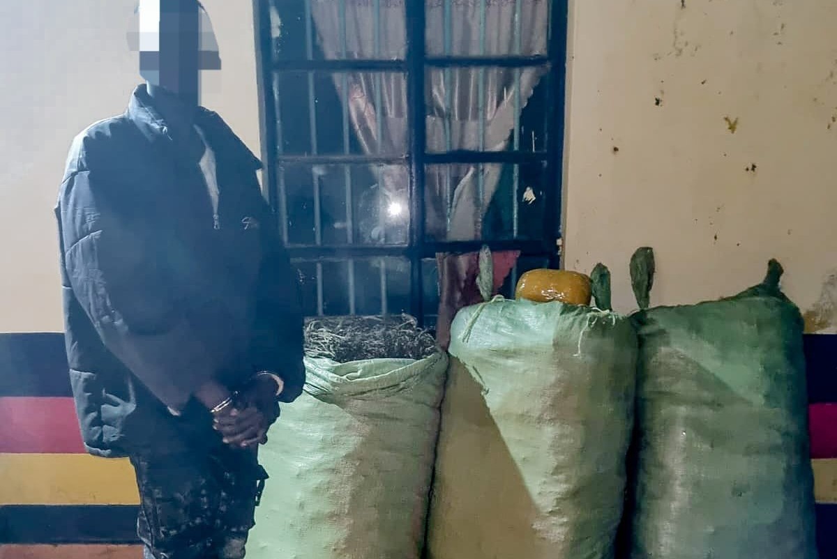 Busia police arrest suspect with 100kg cannabis near Kenya–Uganda border