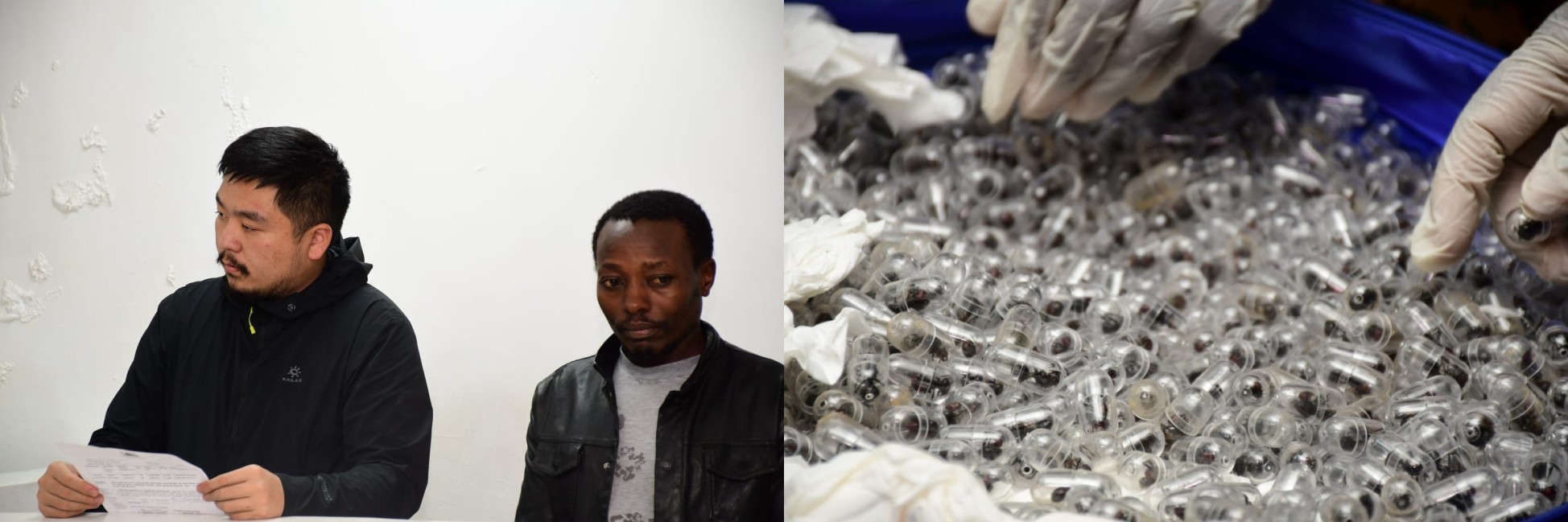 Chinese, Kenyan suspects remanded in 3,000 live ants trade case