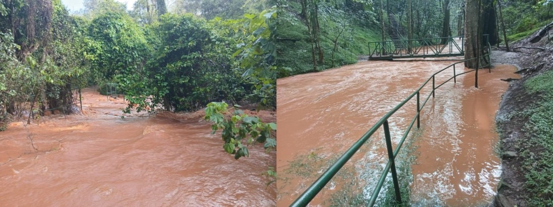 Karura Forest closes key sites after rivers burst banks