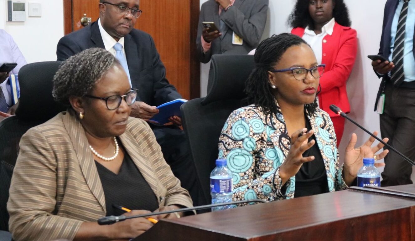 PS for State Department for Diaspora Affairs Roseline Njogu appearing before the Diaspora Affairs and Migrant Workers Committee in Parliament on 3rd March, 2026. Photo/David Bogonko Nyokang’i.