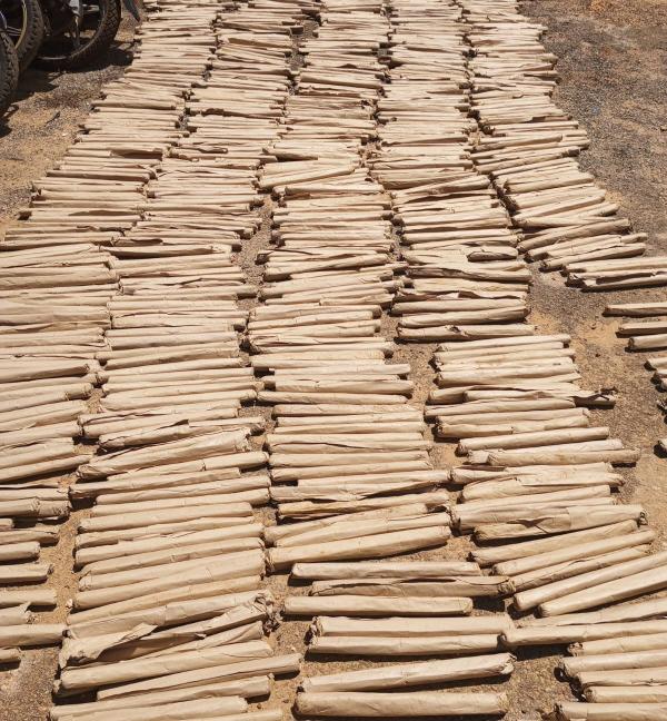 Police seize 1,858 rolls of cannabis in Kwale anti-drug raid