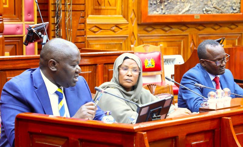 Senate stalls security probe as absence of Murkomen, Kanja sparks standoff