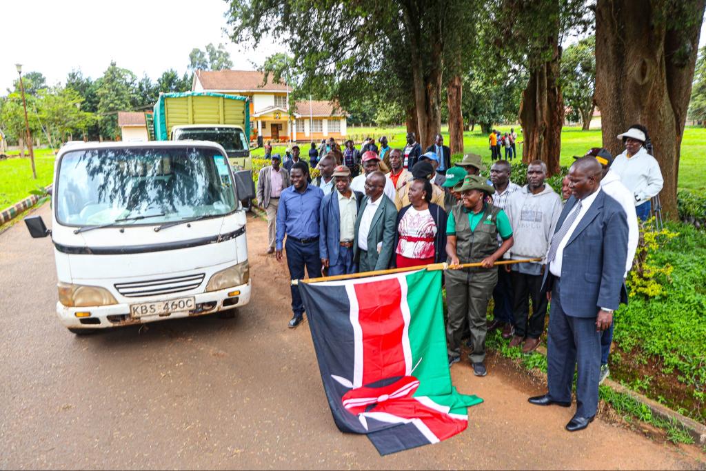 Kenya expands seedling drive to boost Agriculture and tree cover
