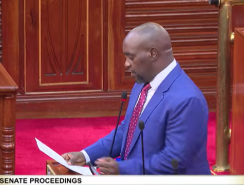 Senator Wambua raises alarm over AI 'cloning' of the dead, calls for regulation