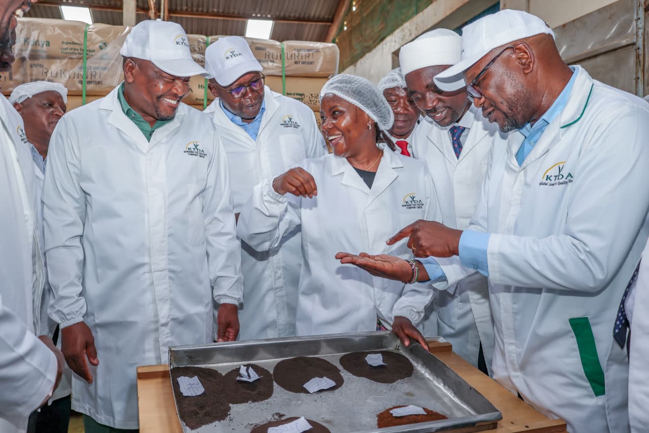 Kenya tea earnings hit Sh218.79 billion as reforms drive sector recovery