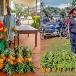 Police arrest two in farm produce theft crackdown