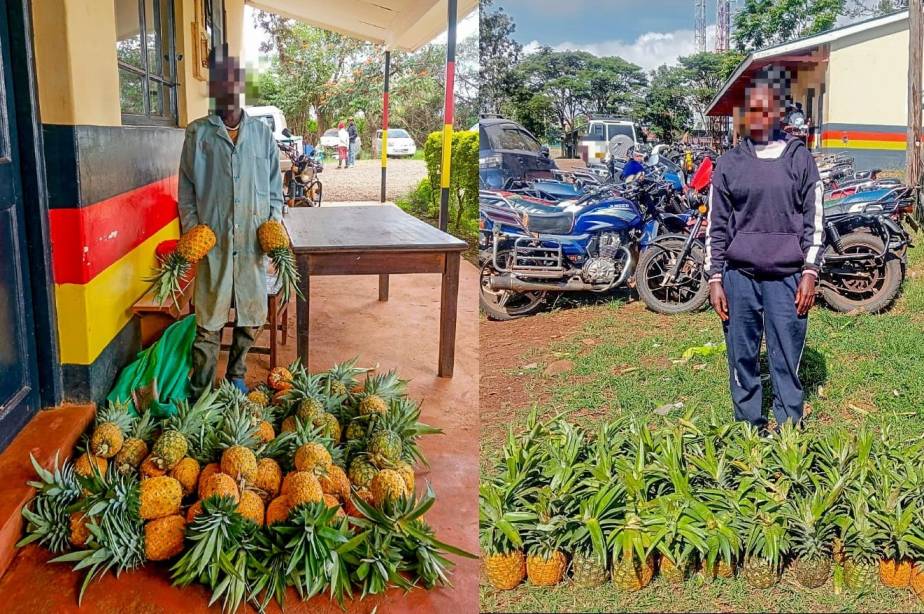 Police arrest two in farm produce theft crackdown