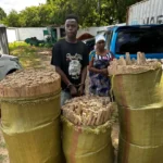 DCI arrest two suspected drug traffickers, seize cannabis worth Sh4.2m in Kilifi