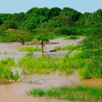 Flood surge cuts off villages along Tana River as rescue boats deployed