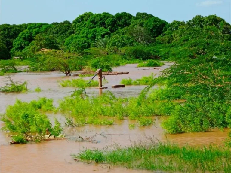 Flood surge cuts off villages along Tana River as rescue boats deployed