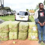 DCI arrests suspected drug trafficker, seizes 1,600 rolls of bhang in Bomet